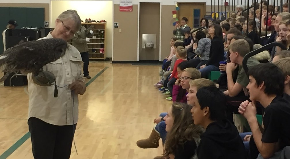 Students looking at a live owl
